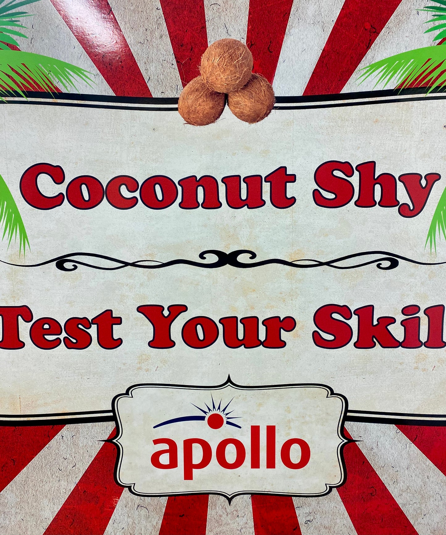 Coconut Shy