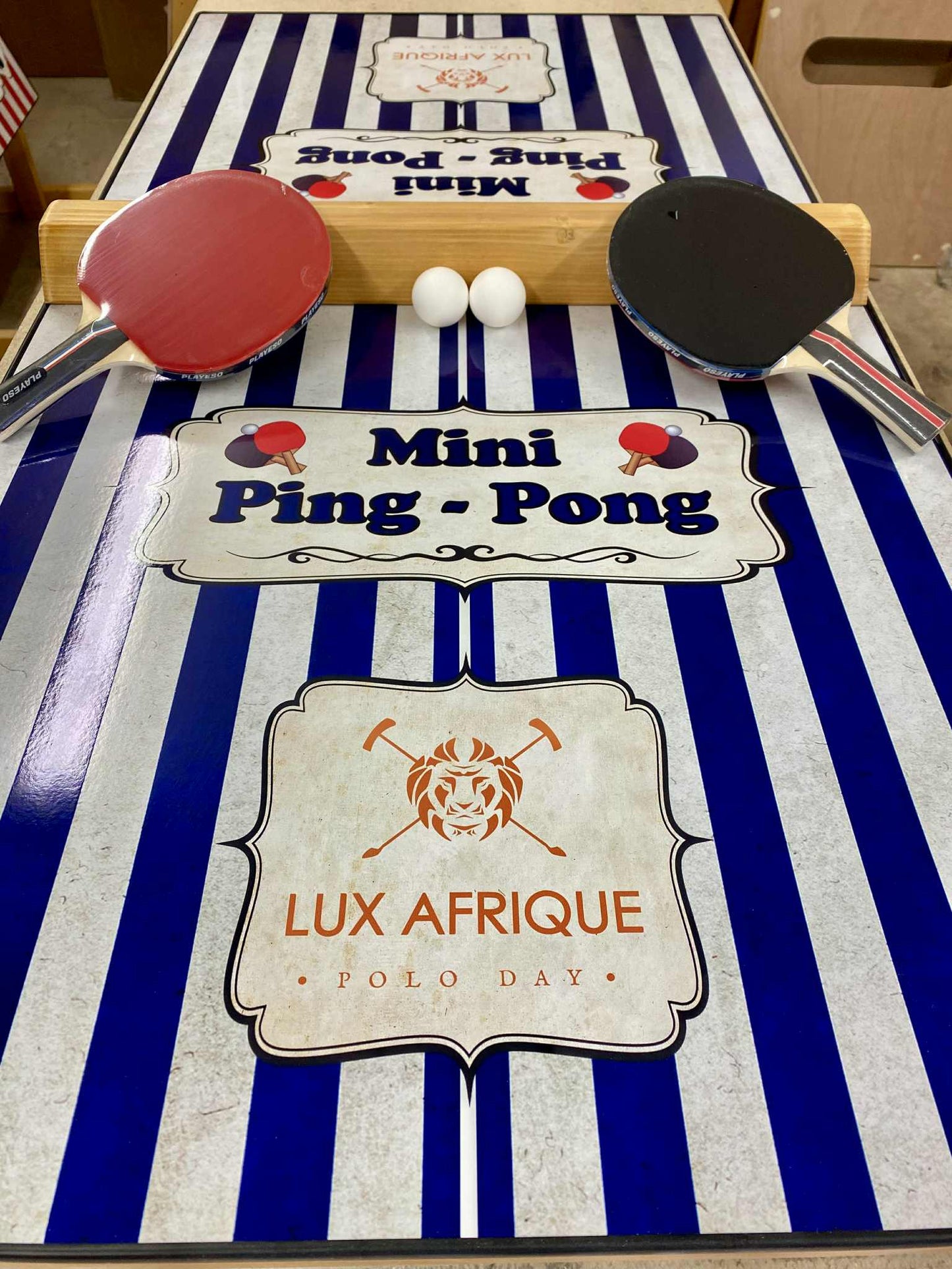 Mini Ping Pong