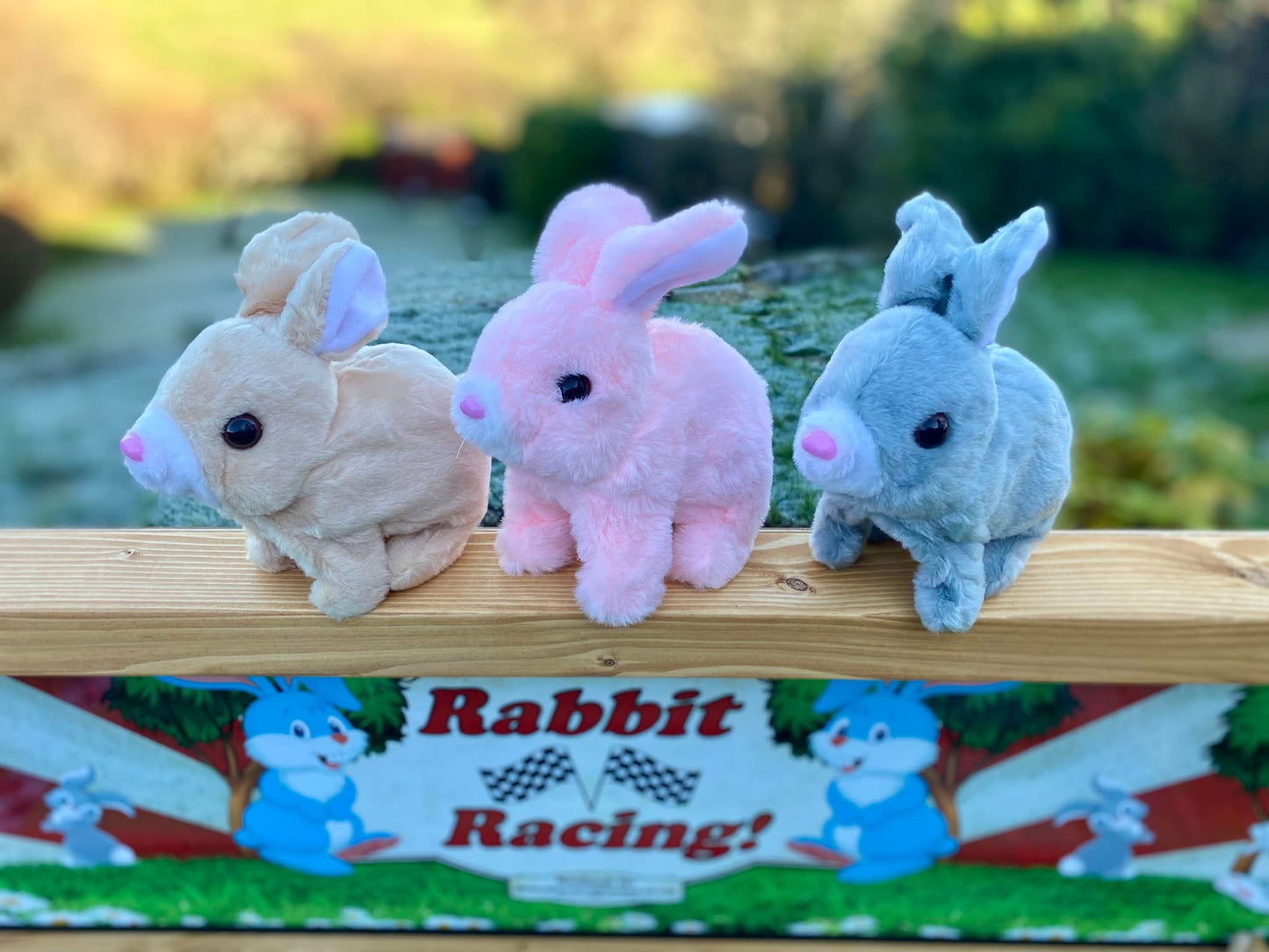Rabbit Racing