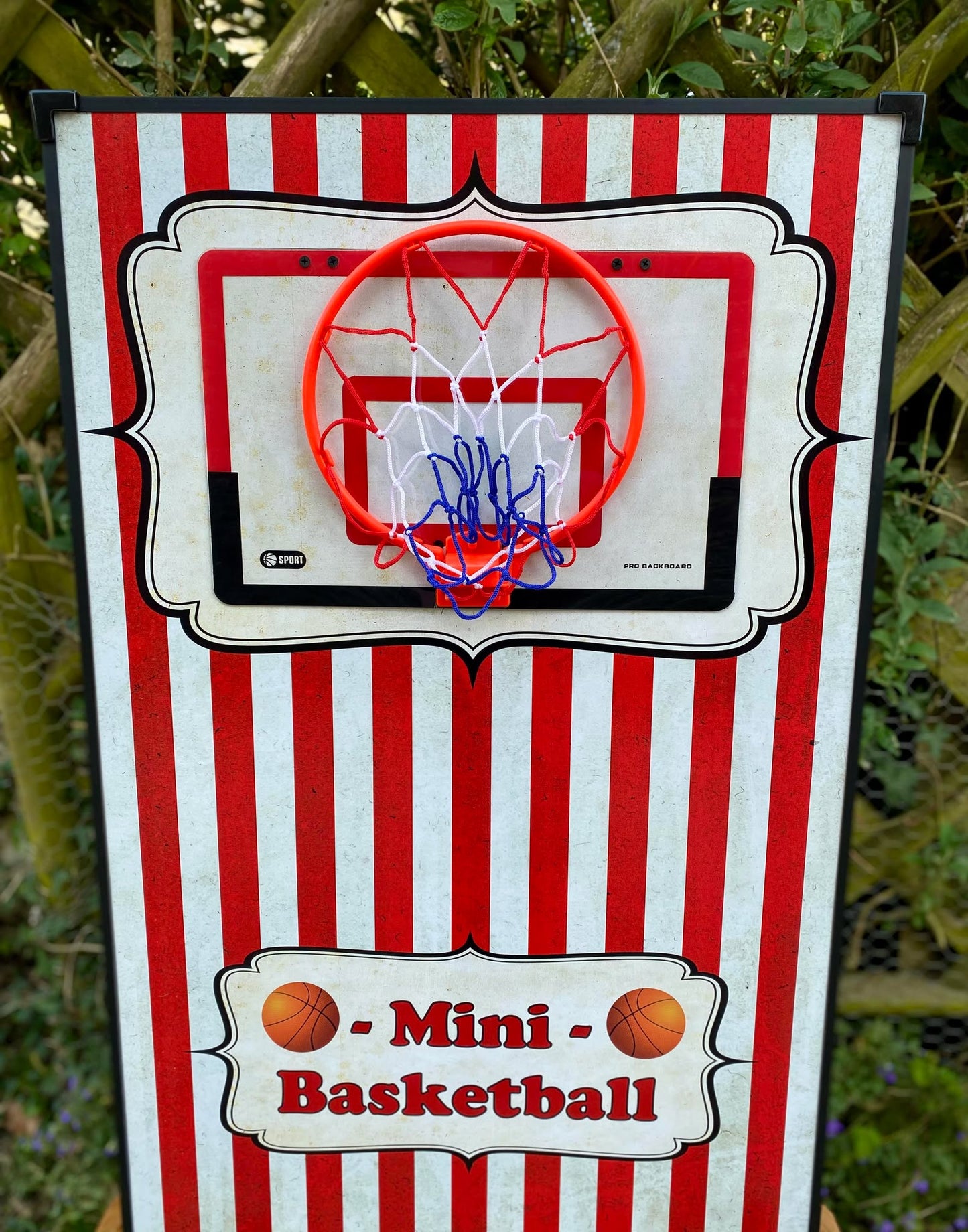 Mini Basketball