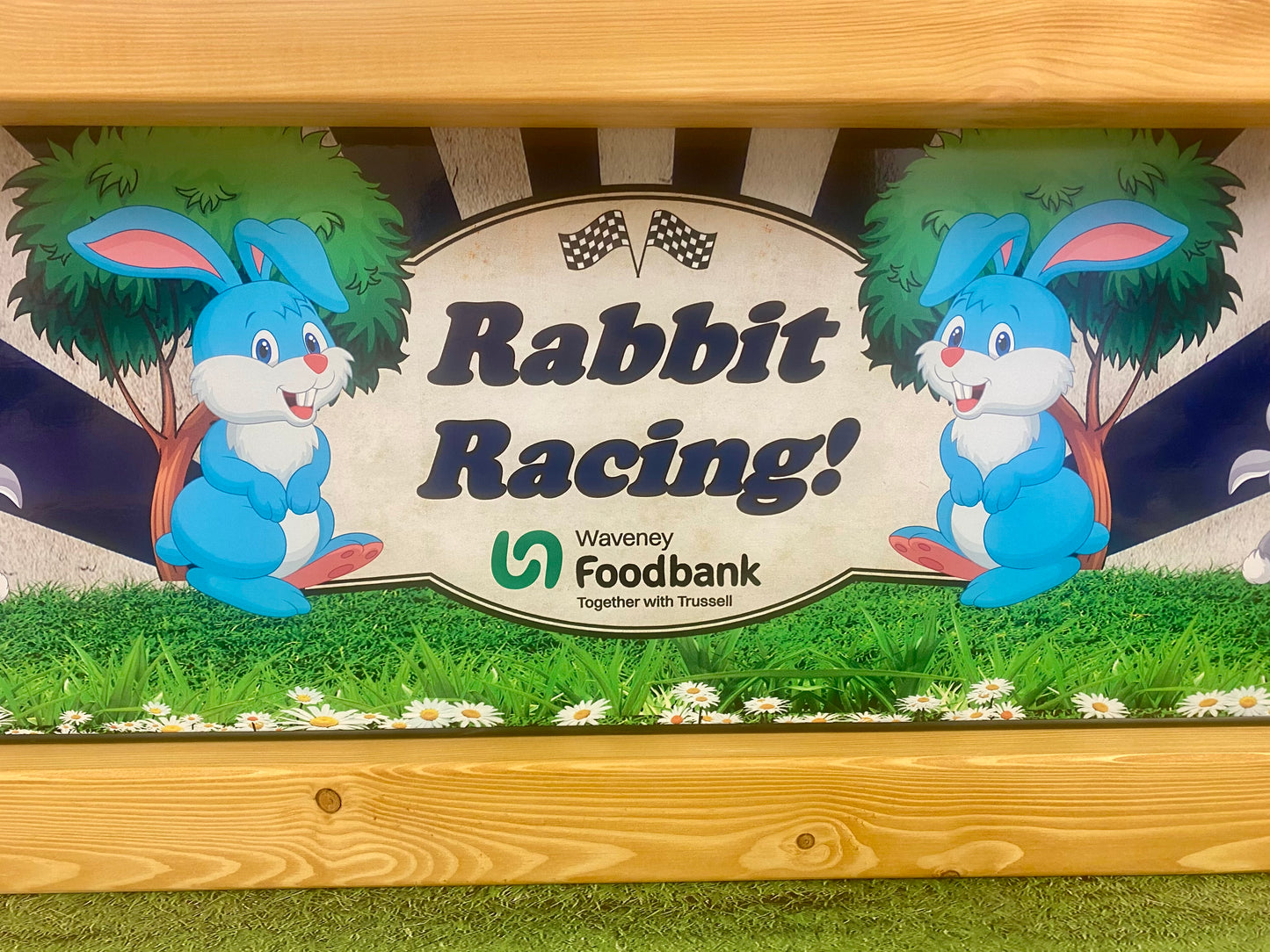 Rabbit Racing