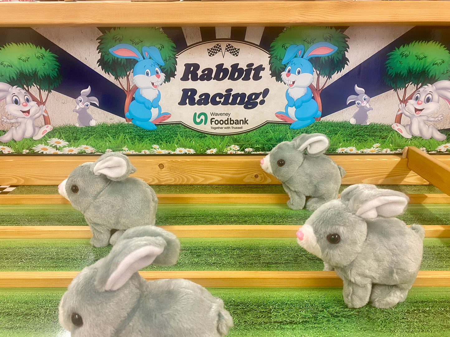 Rabbit Racing