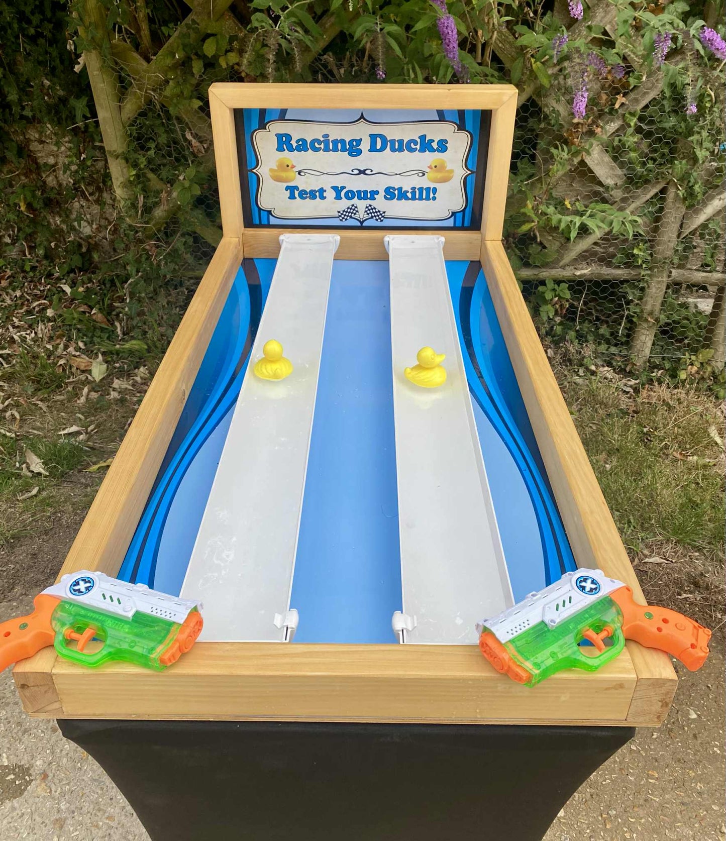 Racing Ducks