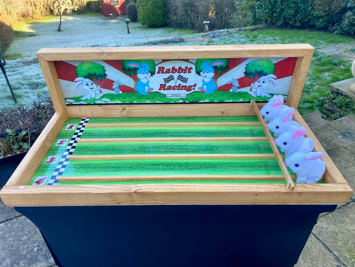 Rabbit Racing