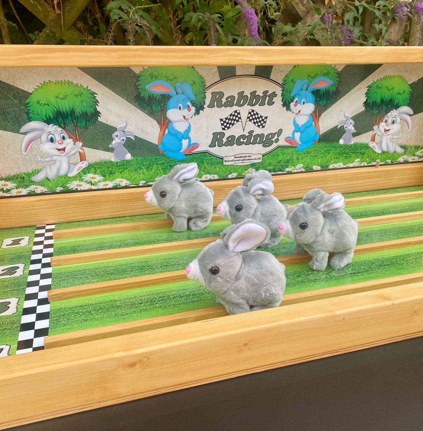 Rabbit Racing