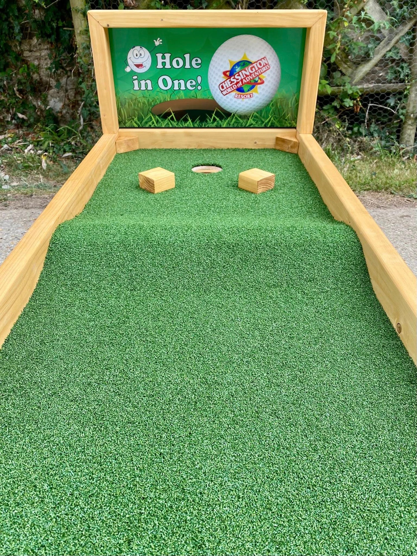 Hole in One