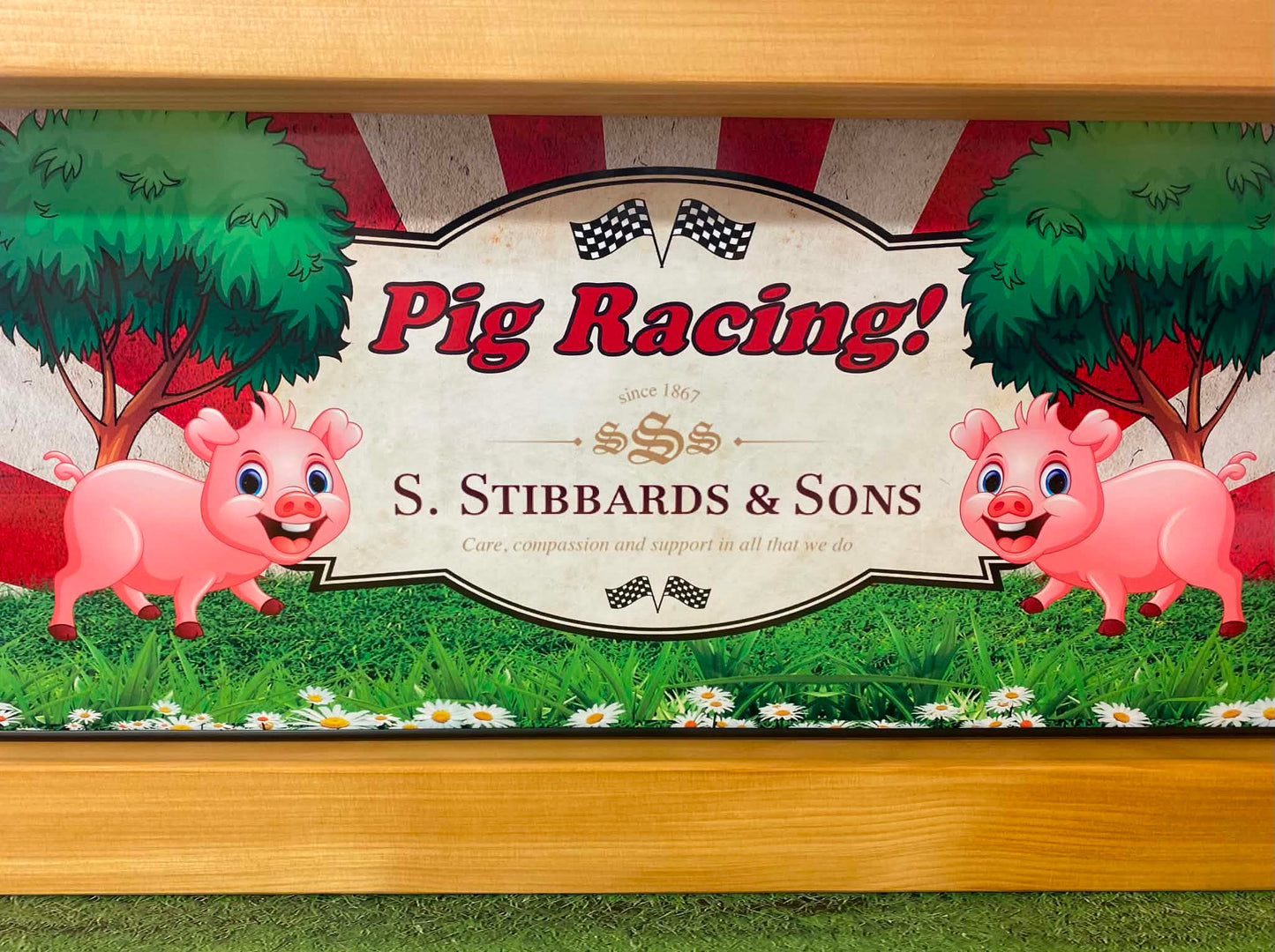Crazy Pig Racing