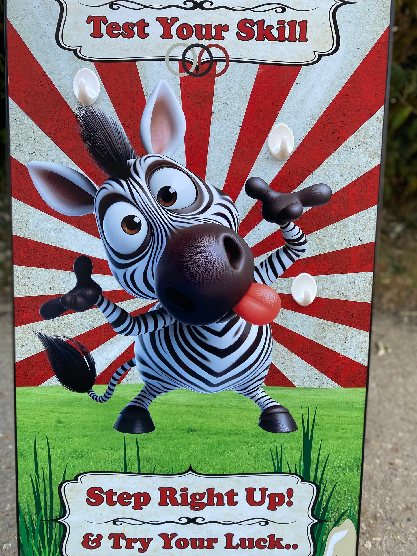 Zebra 3D Ring Toss