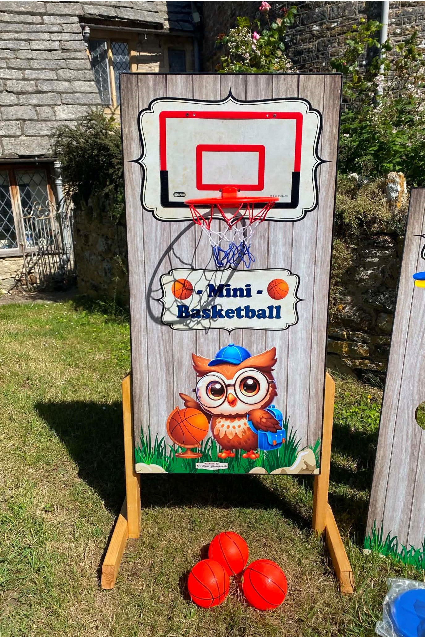 Owl Mini Basketball