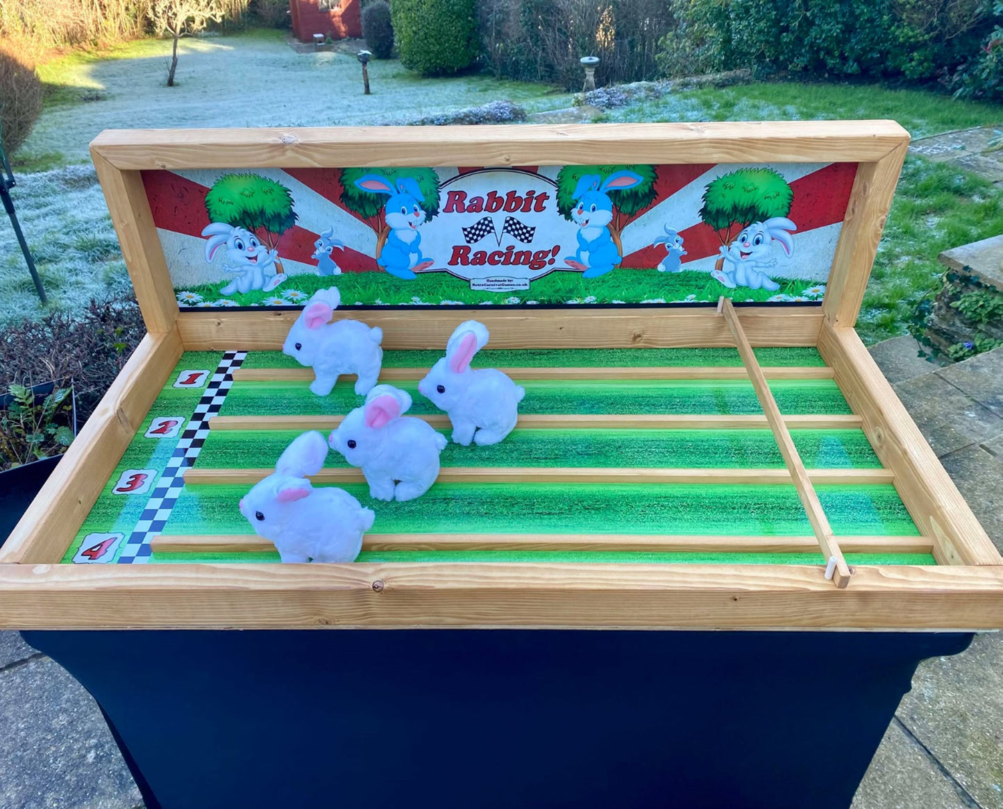 Rabbit Racing